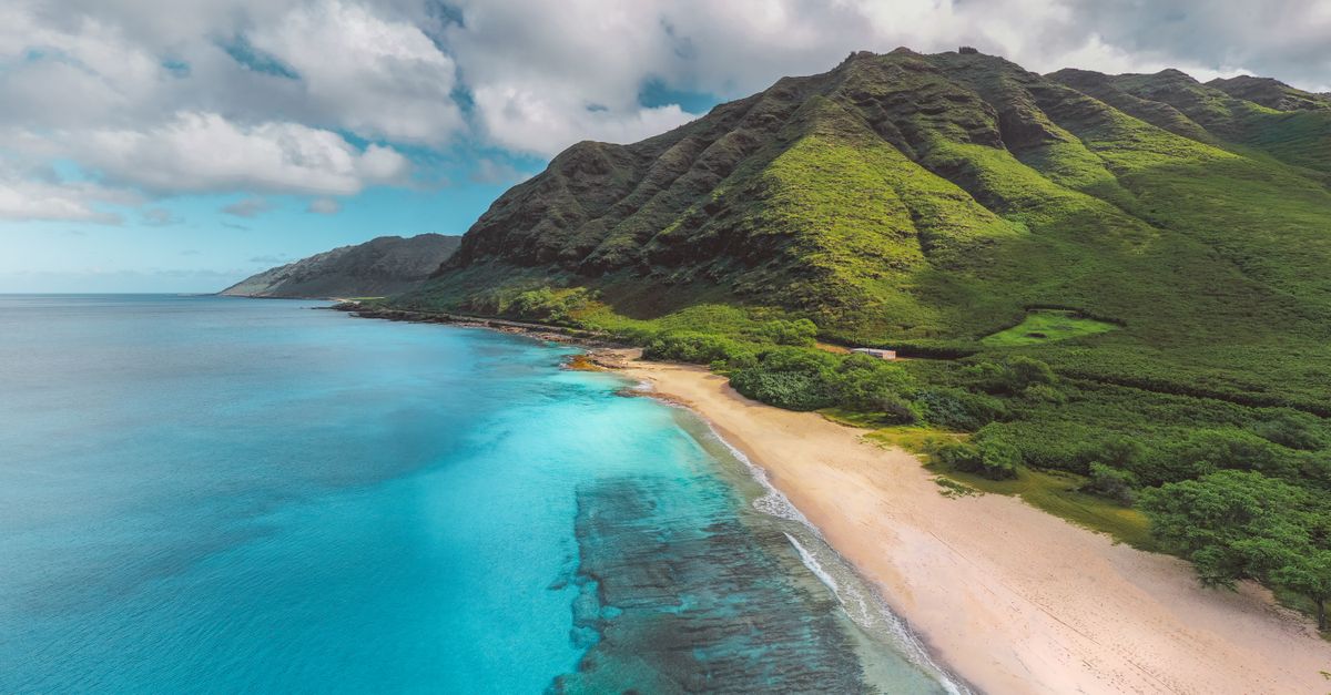 Aerial view of a tropical coastline